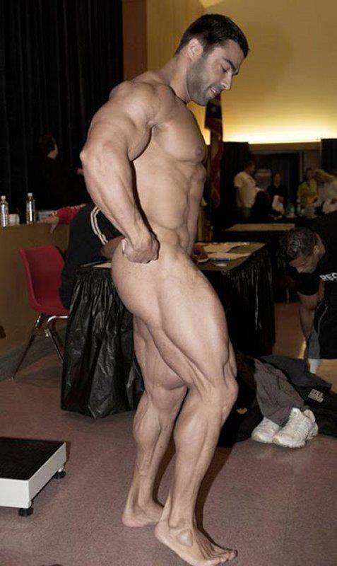 israel gay rights bear daddy exhibitionist gay photo